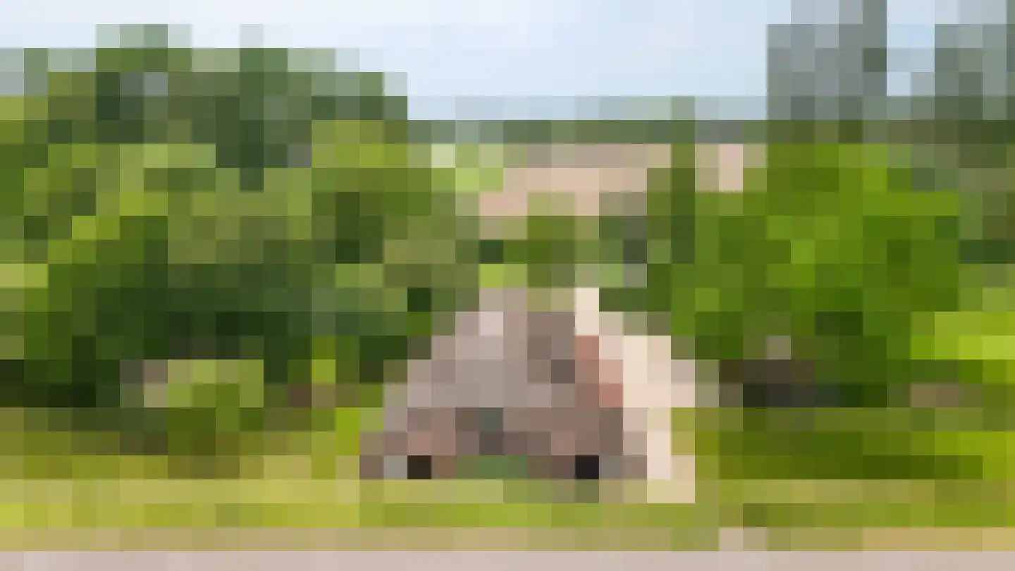 Lekdijk West 9 Beusichem thumbnail 72