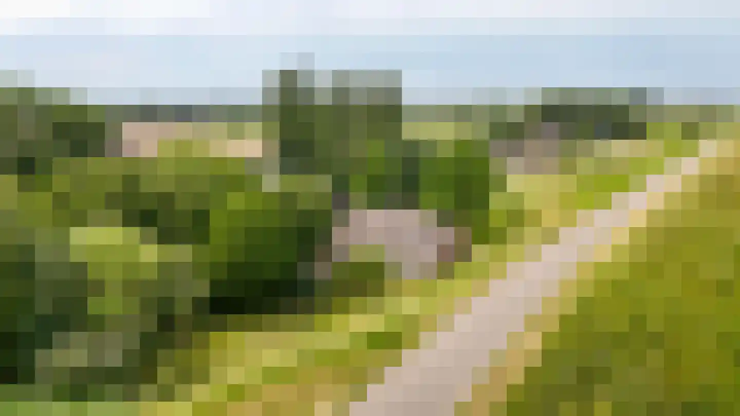 Lekdijk West 9 Beusichem thumbnail 73