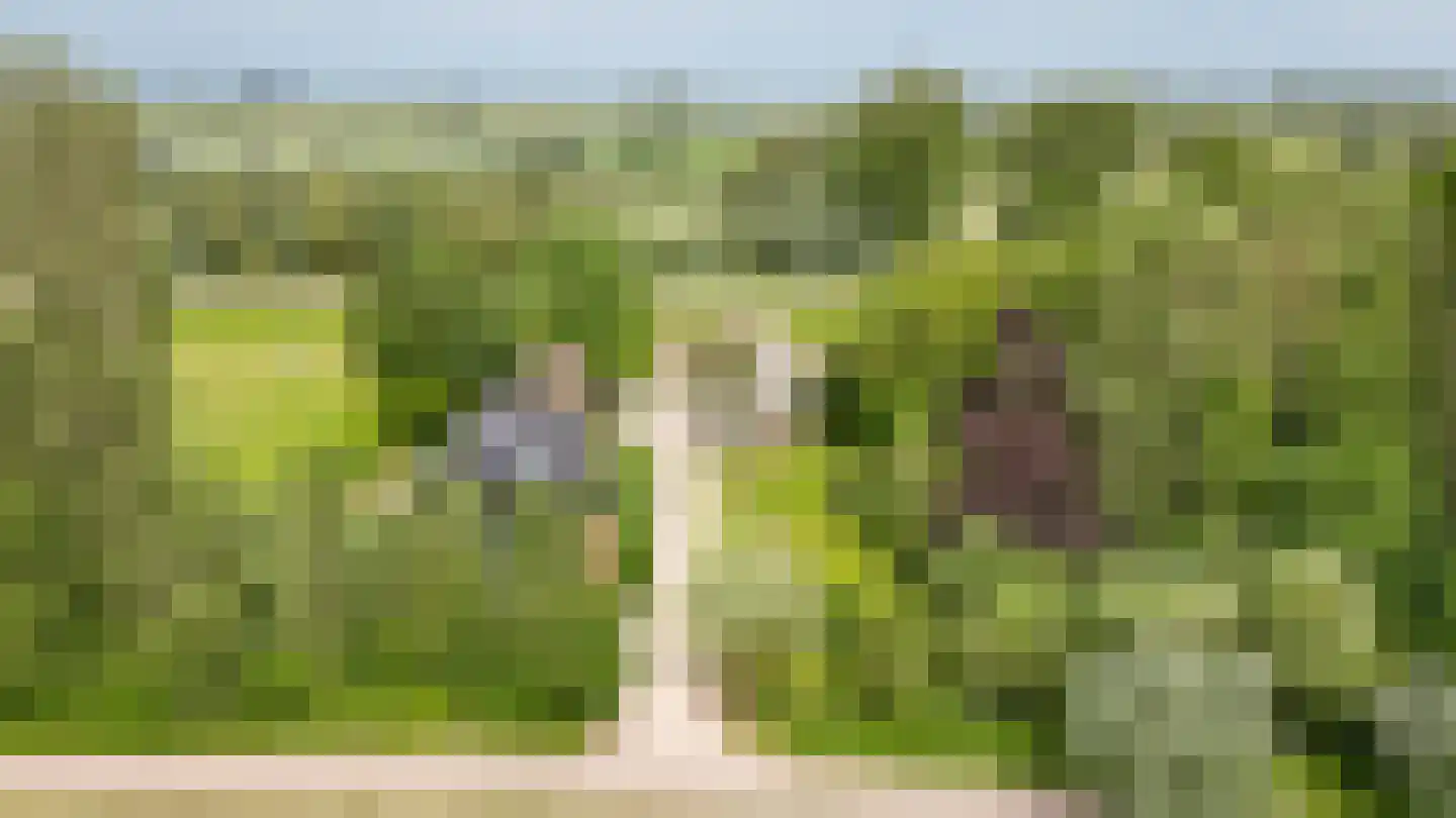 Lekdijk West 9 Beusichem thumbnail 74