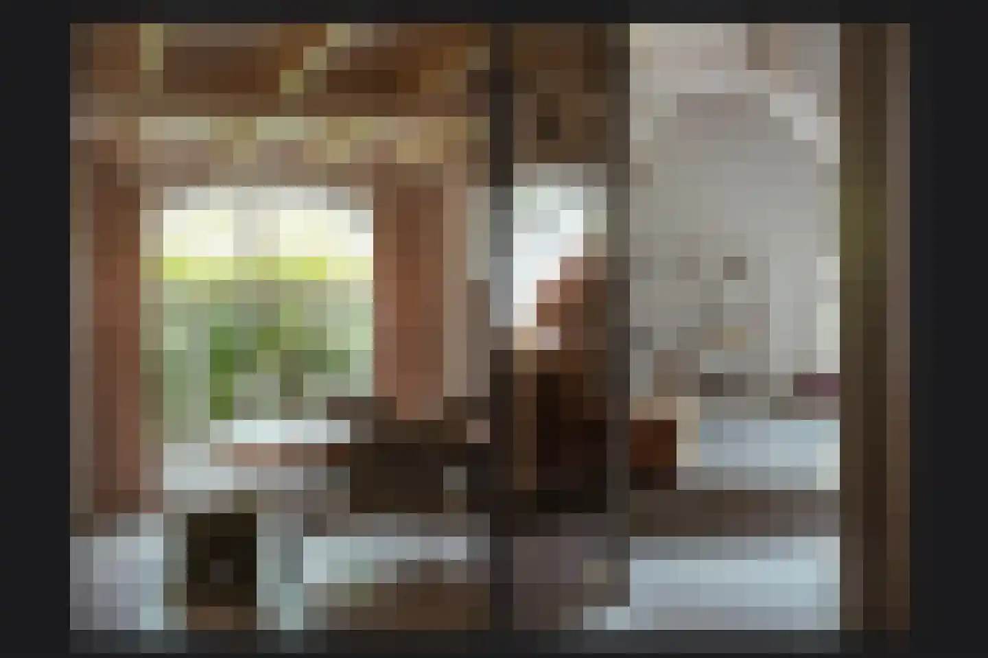 Lekdijk West 9 Beusichem thumbnail 8