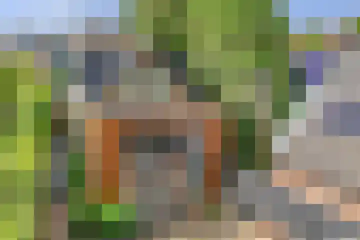 Lekdijksteeg 13 Lekkerkerk