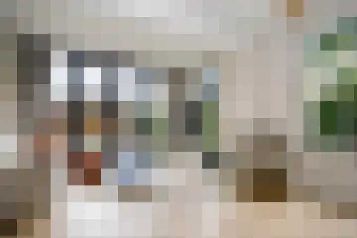 Lekdijksteeg 13 Lekkerkerk thumbnail 12