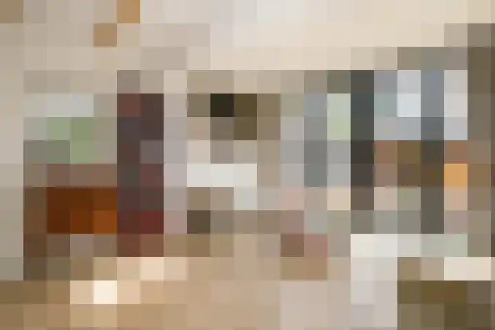 Lekdijksteeg 13 Lekkerkerk thumbnail 13