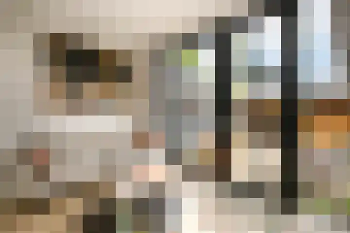 Lekdijksteeg 13 Lekkerkerk thumbnail 14