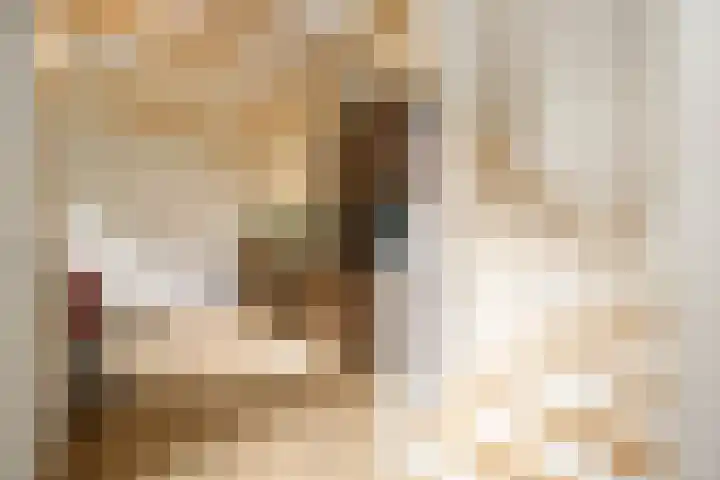 Lekdijksteeg 13 Lekkerkerk thumbnail 17