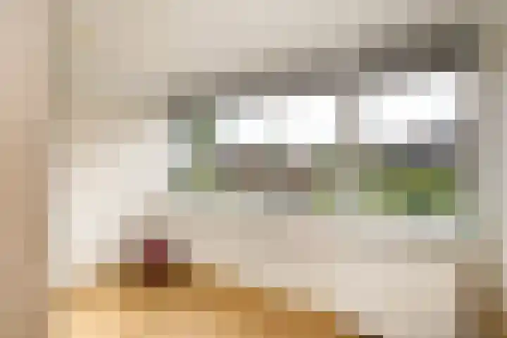 Lekdijksteeg 13 Lekkerkerk thumbnail 26