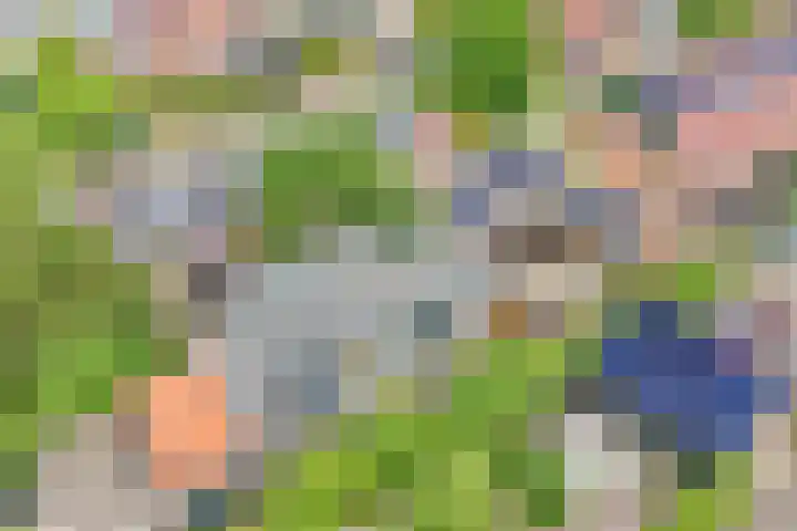 Lekdijksteeg 13 Lekkerkerk thumbnail 29