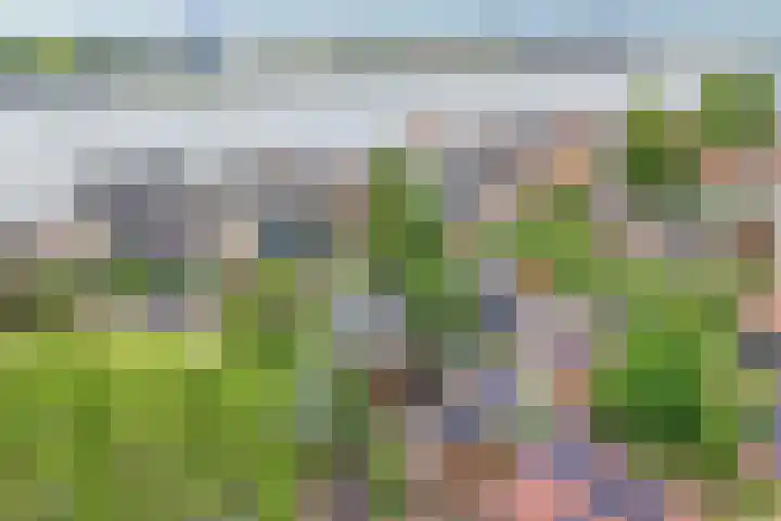 Lekdijksteeg 13 Lekkerkerk thumbnail 30