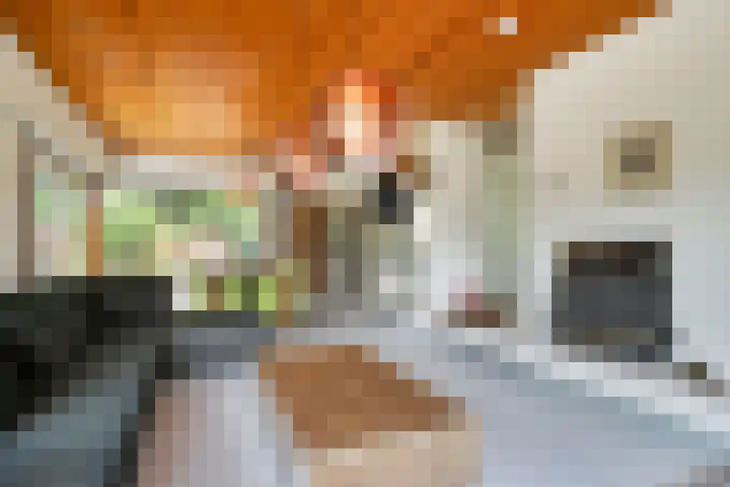 Lekdreef 1 Krimpen aan de Lek thumbnail 10