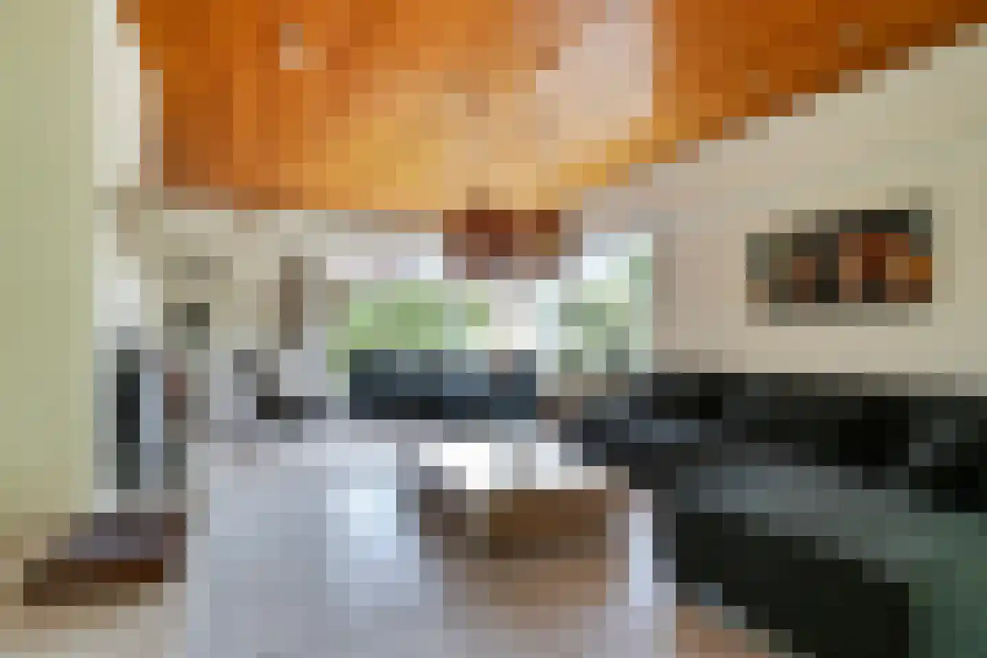 Lekdreef 1 Krimpen aan de Lek thumbnail 11