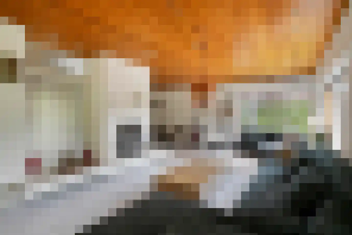 Lekdreef 1 Krimpen aan de Lek thumbnail 12