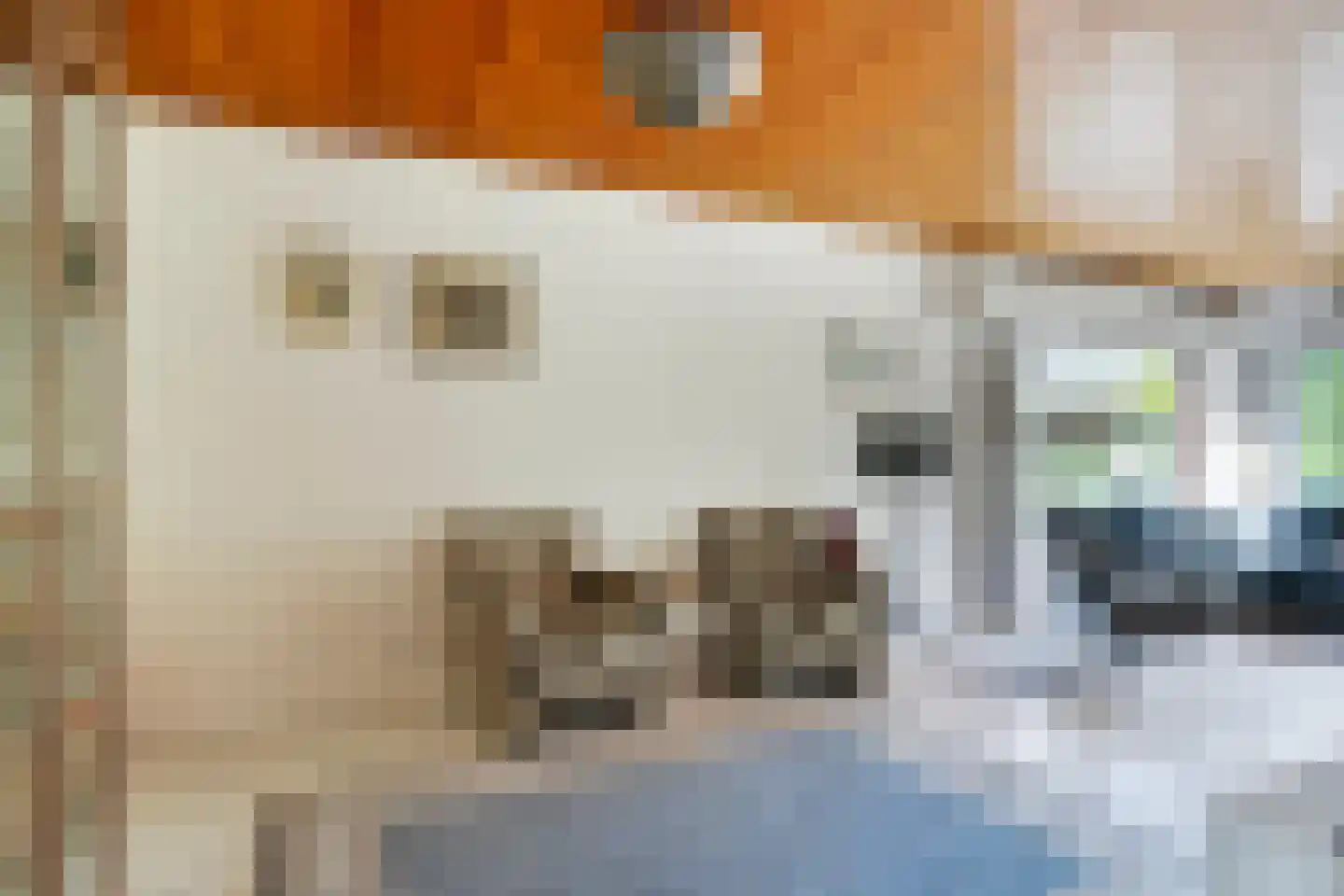 Lekdreef 1 Krimpen aan de Lek thumbnail 13