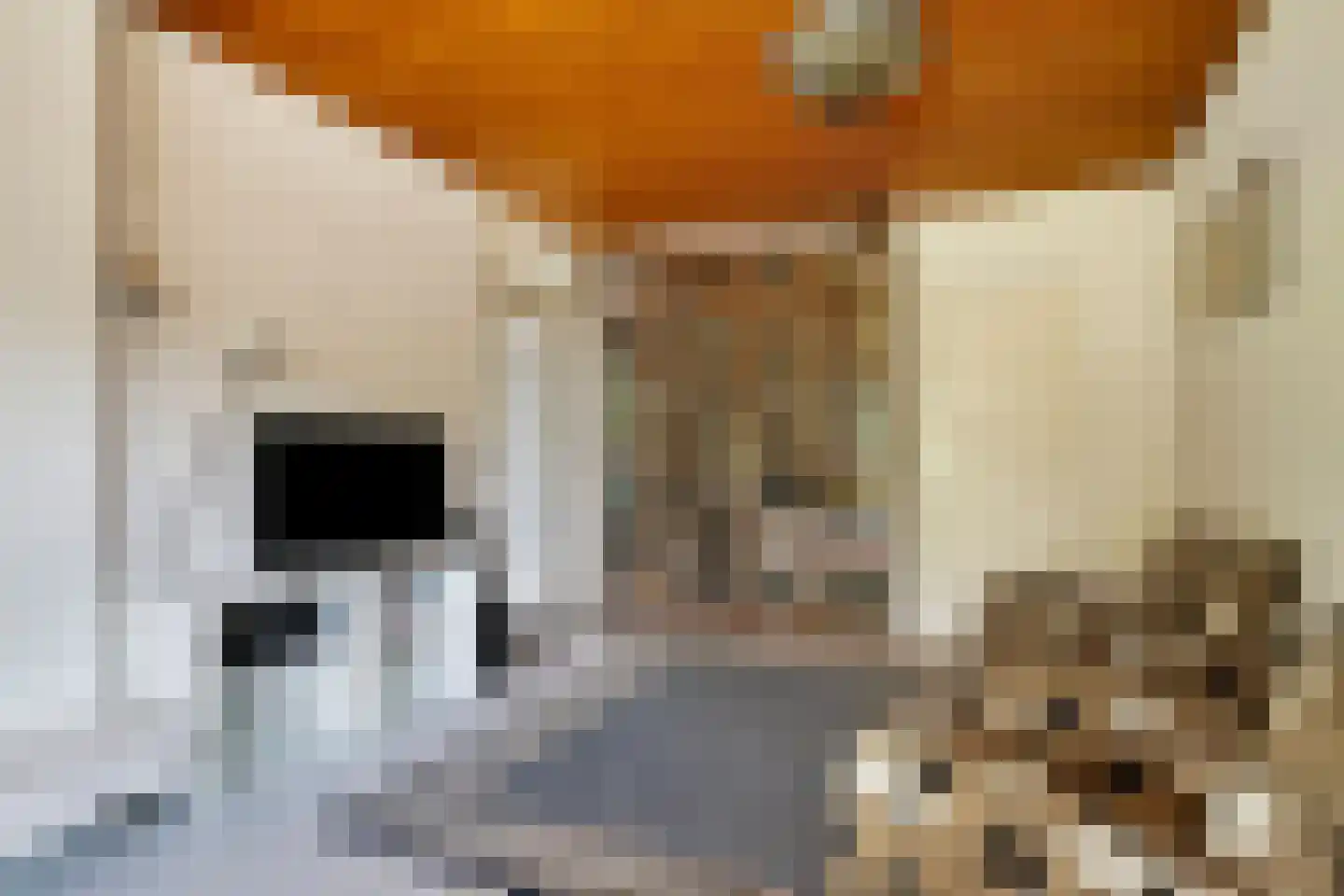 Lekdreef 1 Krimpen aan de Lek thumbnail 15