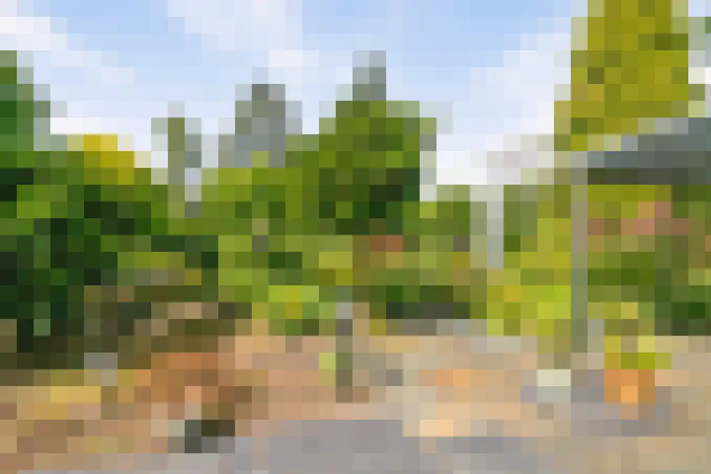 Lekdreef 1 Krimpen aan de Lek thumbnail 18