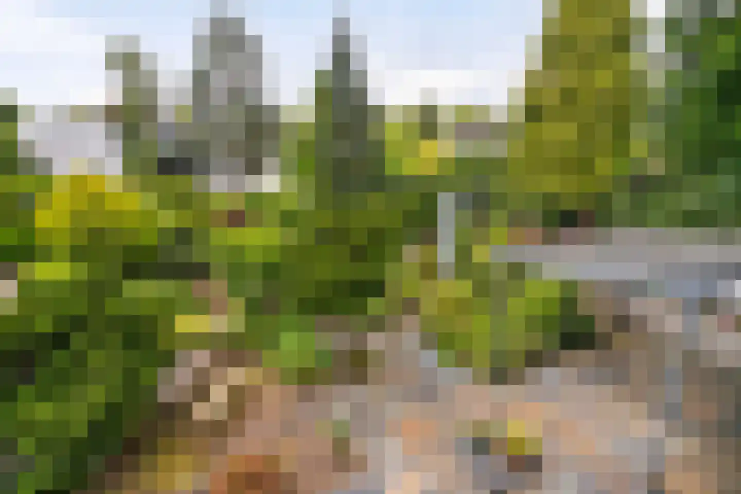 Lekdreef 1 Krimpen aan de Lek thumbnail 19