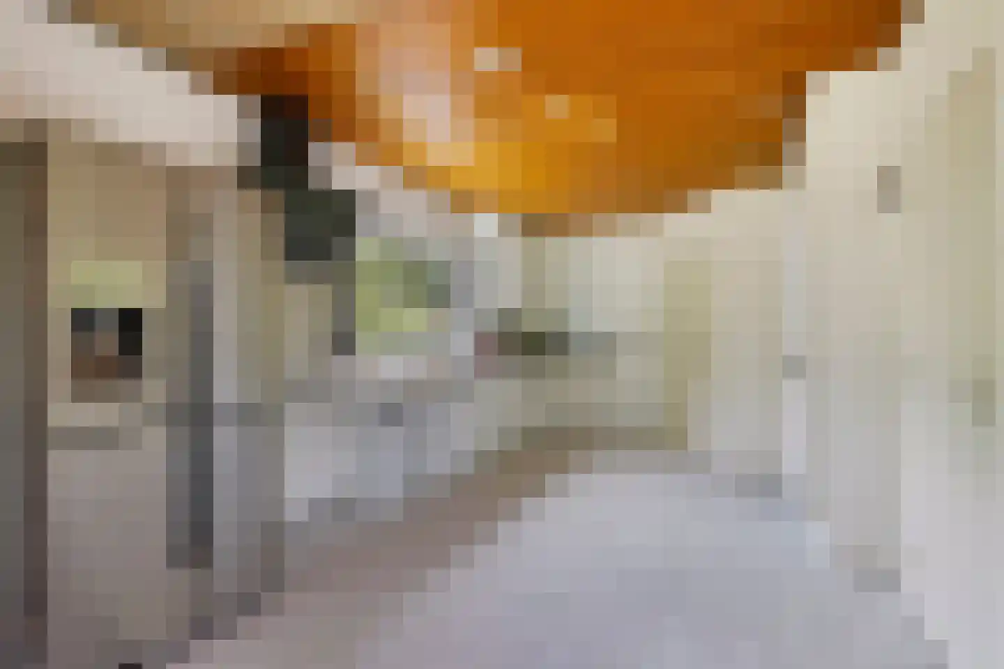 Lekdreef 1 Krimpen aan de Lek thumbnail 22