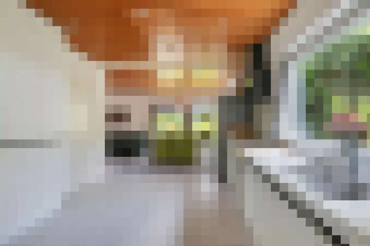 Lekdreef 1 Krimpen aan de Lek thumbnail 23