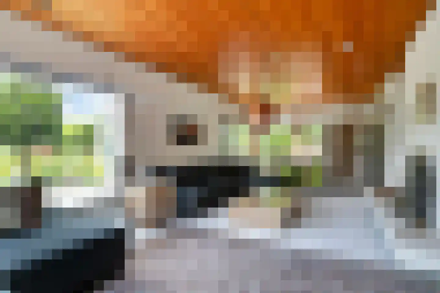 Lekdreef 1 Krimpen aan de Lek foto 3