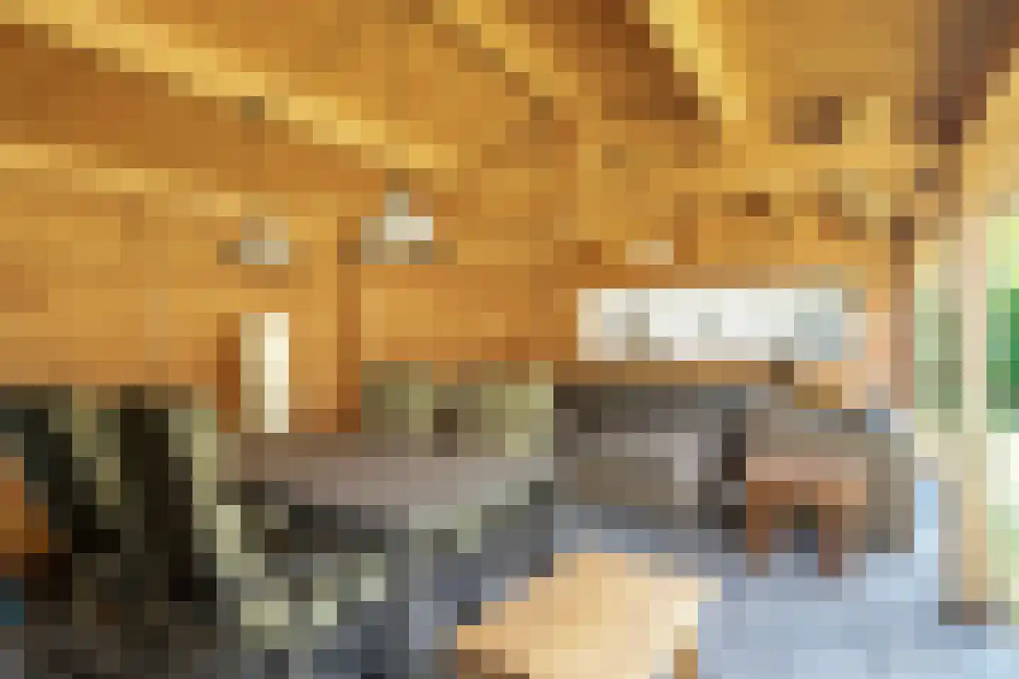 Lekdreef 1 Krimpen aan de Lek thumbnail 31