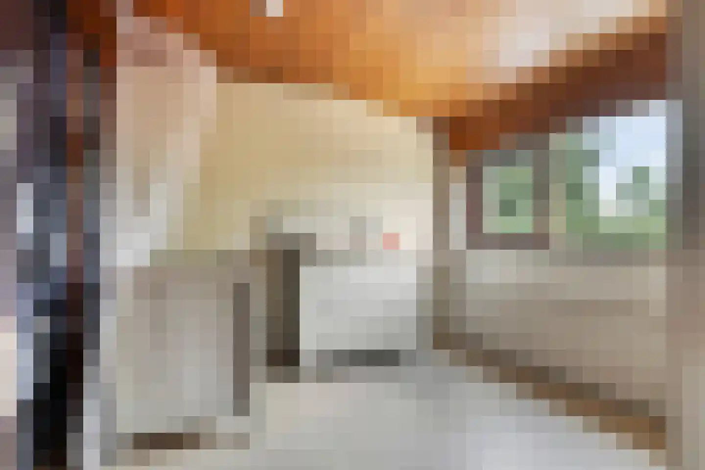 Lekdreef 1 Krimpen aan de Lek thumbnail 44