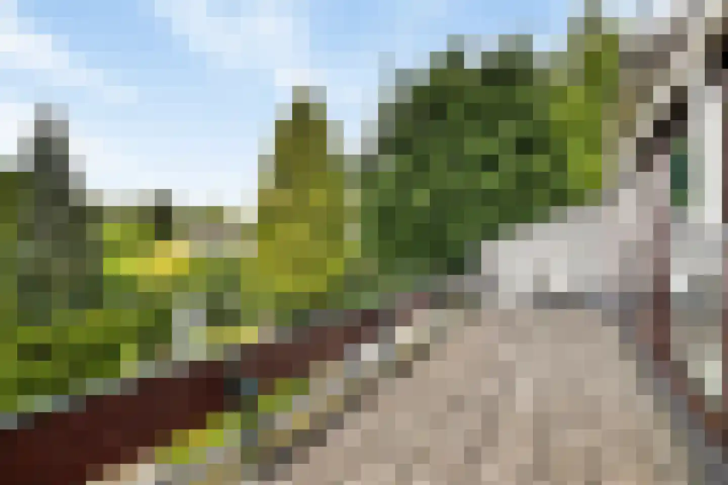 Lekdreef 1 Krimpen aan de Lek thumbnail 53