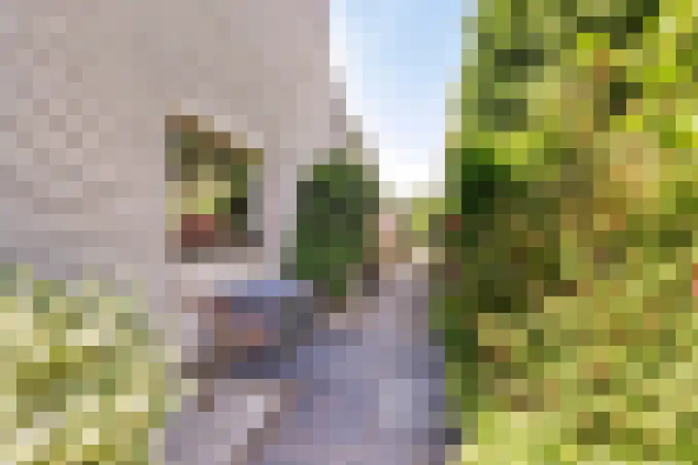 Lekdreef 1 Krimpen aan de Lek thumbnail 58