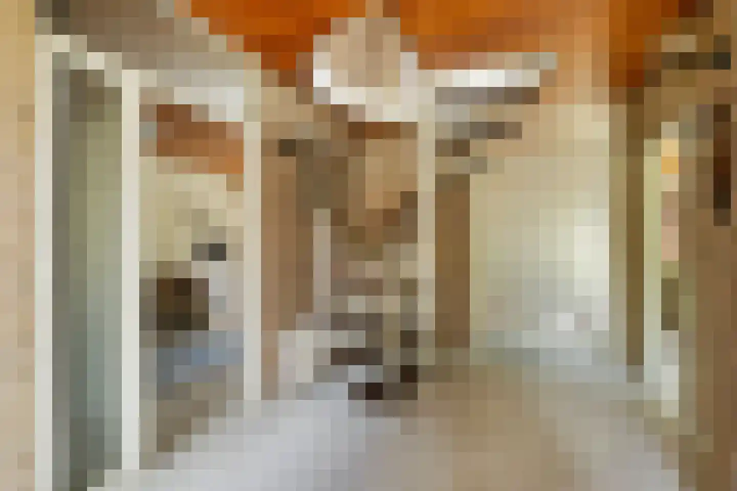 Lekdreef 1 Krimpen aan de Lek thumbnail 8