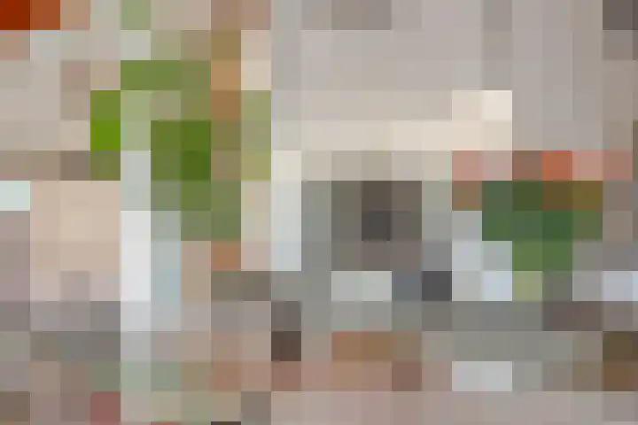 Lekdreef 11 Krimpen aan de Lek thumbnail 12