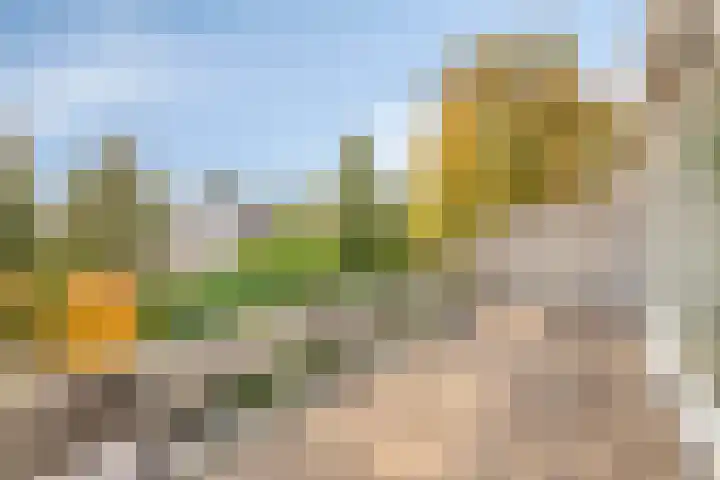 Lekdreef 11 Krimpen aan de Lek thumbnail 39