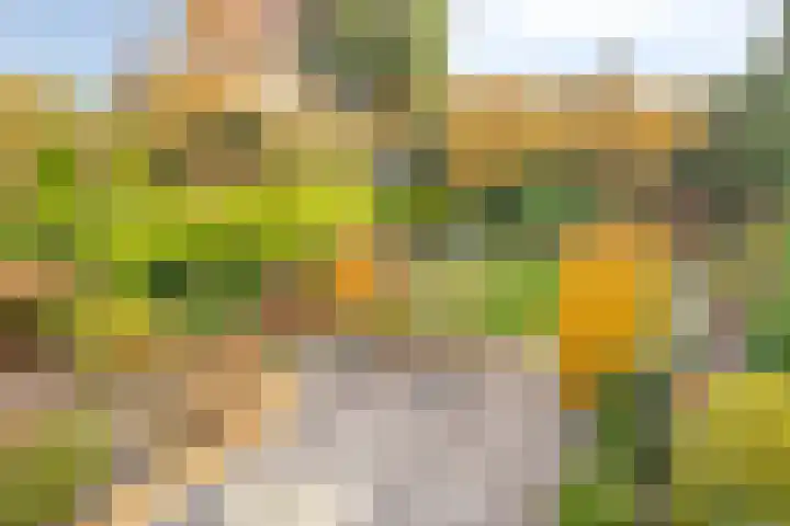 Lekdreef 11 Krimpen aan de Lek thumbnail 41