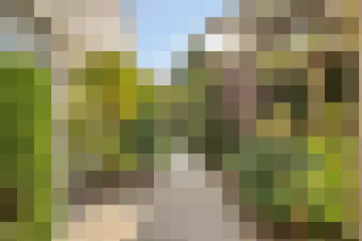 Lekdreef 11 Krimpen aan de Lek thumbnail 43