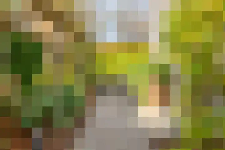 Lekdreef 11 Krimpen aan de Lek thumbnail 44