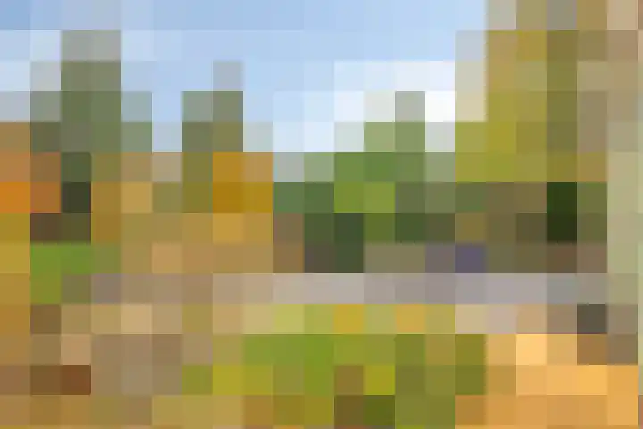 Lekdreef 11 Krimpen aan de Lek thumbnail 48