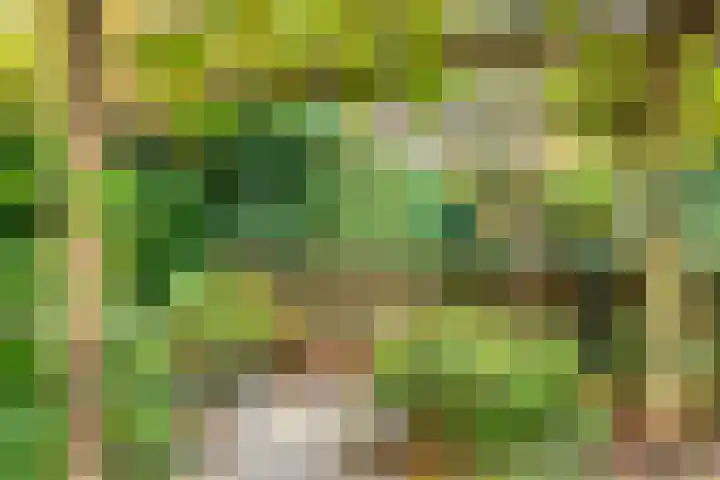Lekdreef 11 Krimpen aan de Lek thumbnail 50