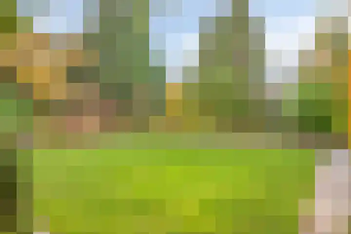 Lekdreef 11 Krimpen aan de Lek thumbnail 51