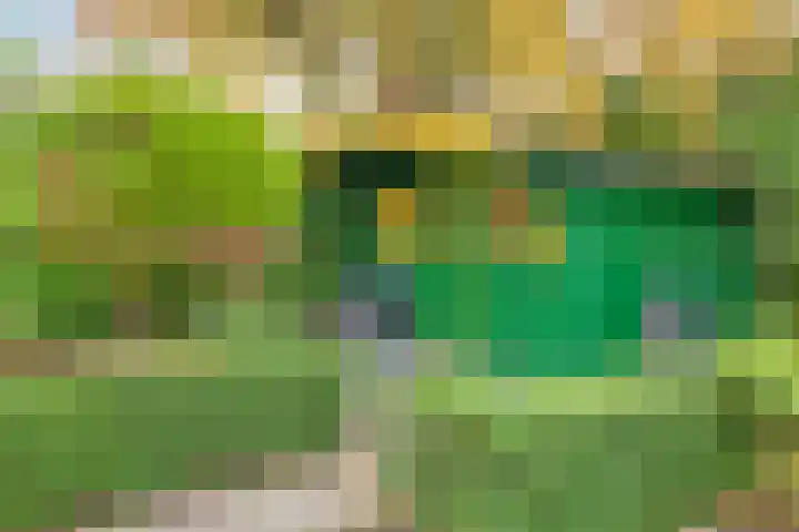 Lekdreef 11 Krimpen aan de Lek thumbnail 53
