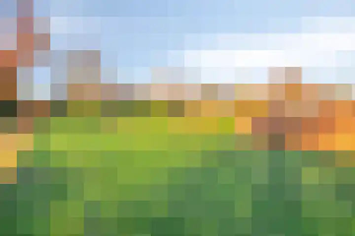 Lekdreef 11 Krimpen aan de Lek thumbnail 60