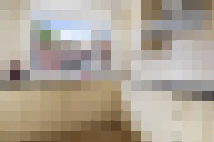 Lekebroedersstraat 4 Hoeven thumbnail 16
