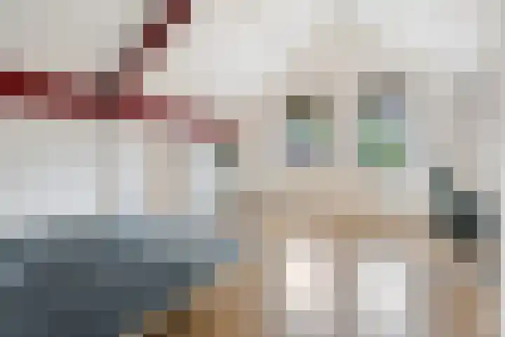 Lekebroedersstraat 4 Hoeven thumbnail 25