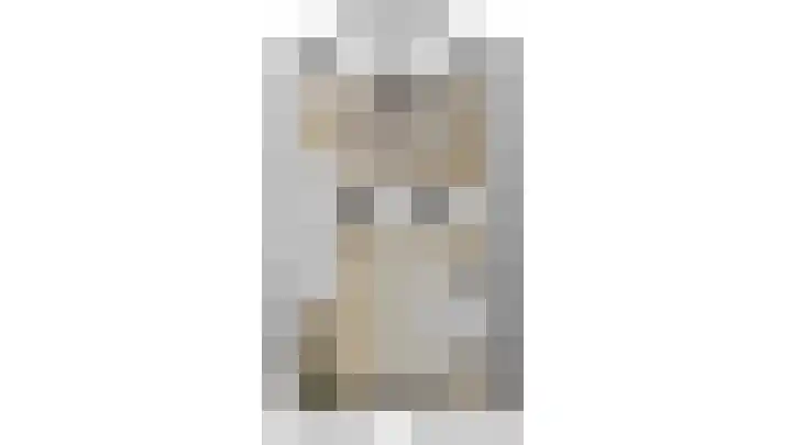 Lekebroedersstraat 4 Hoeven thumbnail 39