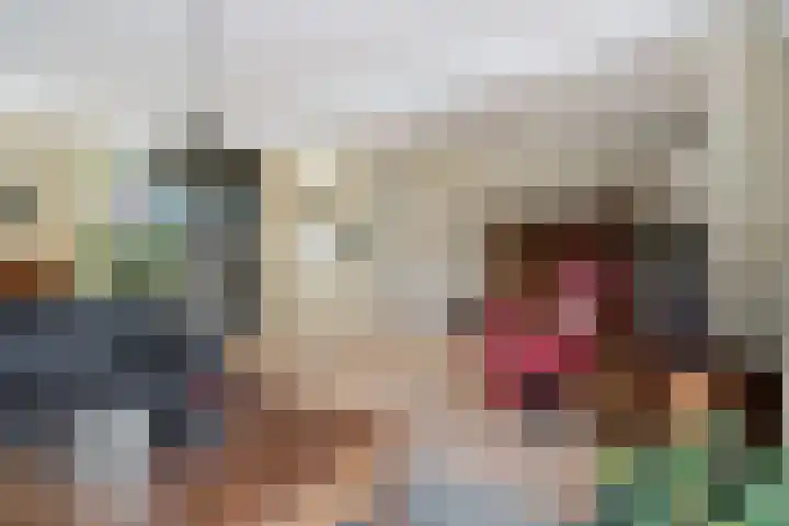 Lekebroedersstraat 4 Hoeven thumbnail 9