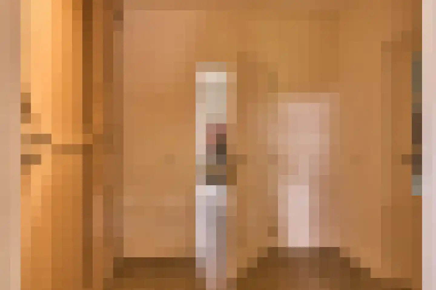 Lekerstraat 25 a Beek en Donk thumbnail 11