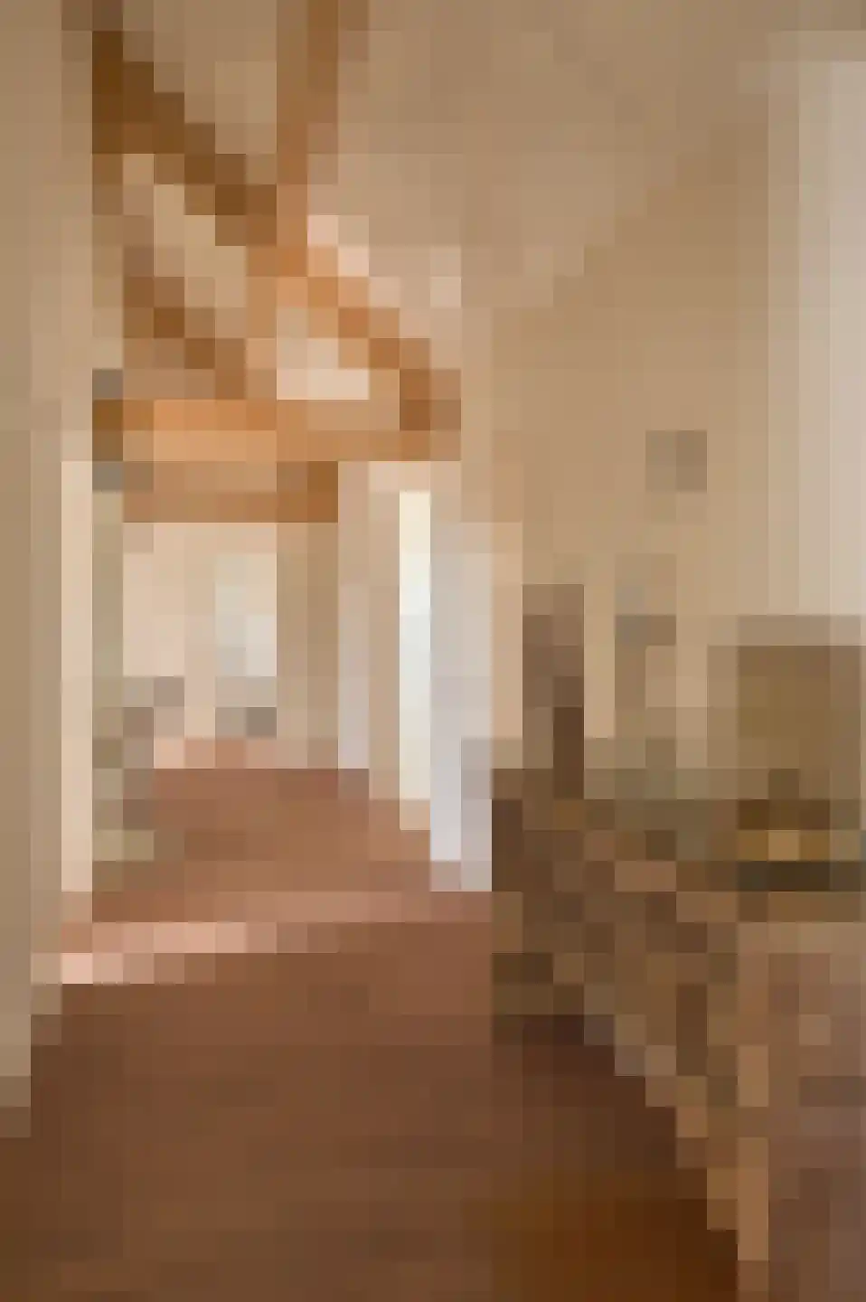 Lekerstraat 25 a Beek en Donk thumbnail 16