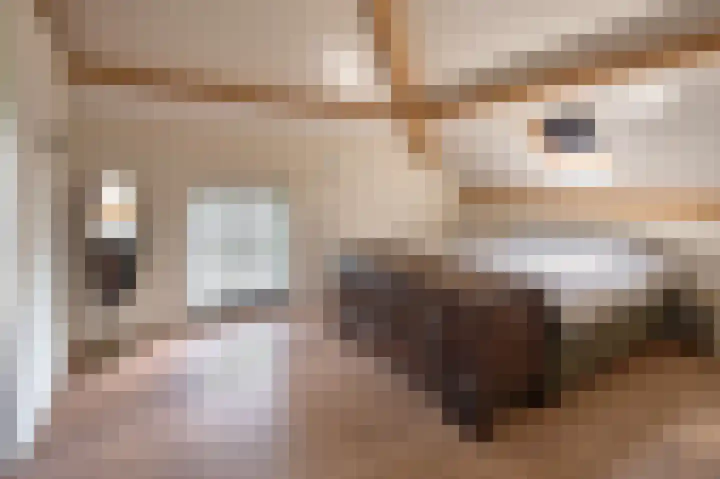 Lekerstraat 25 a Beek en Donk thumbnail 17