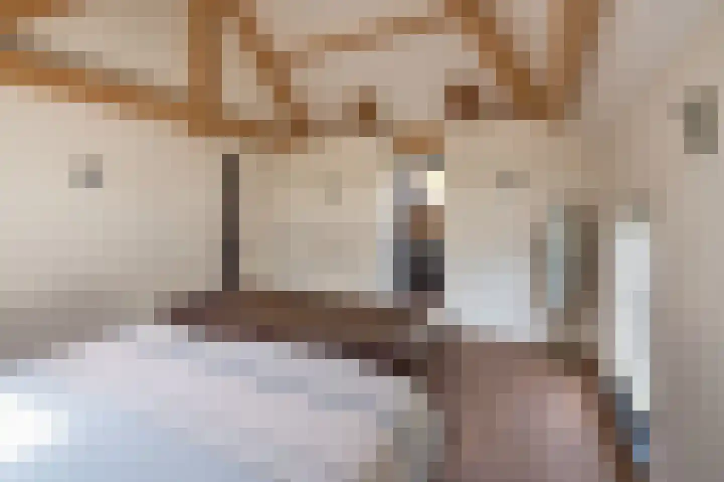 Lekerstraat 25 a Beek en Donk thumbnail 18