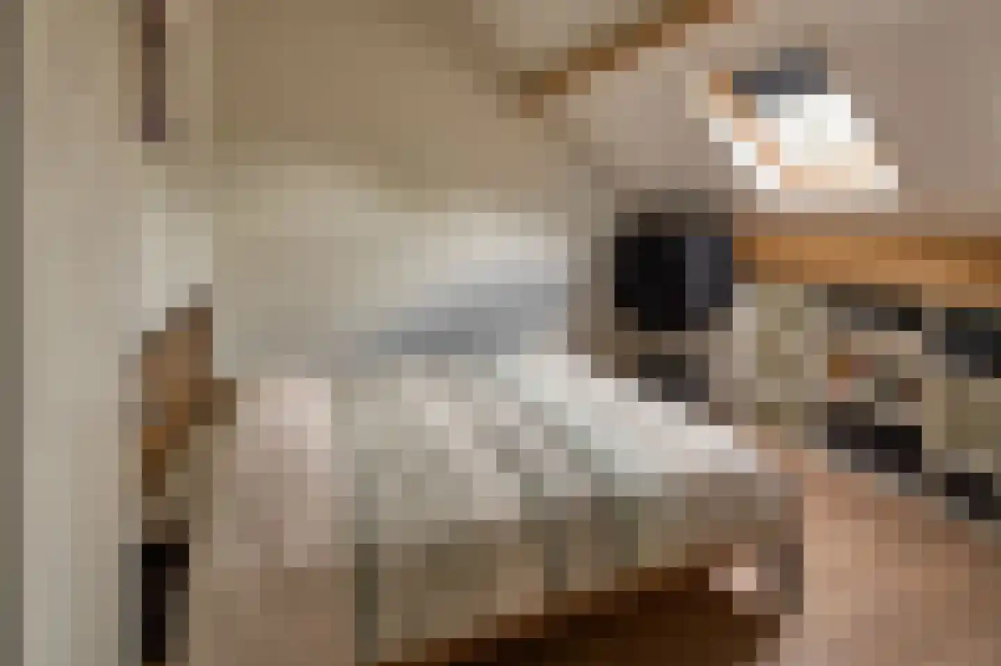Lekerstraat 25 a Beek en Donk thumbnail 20