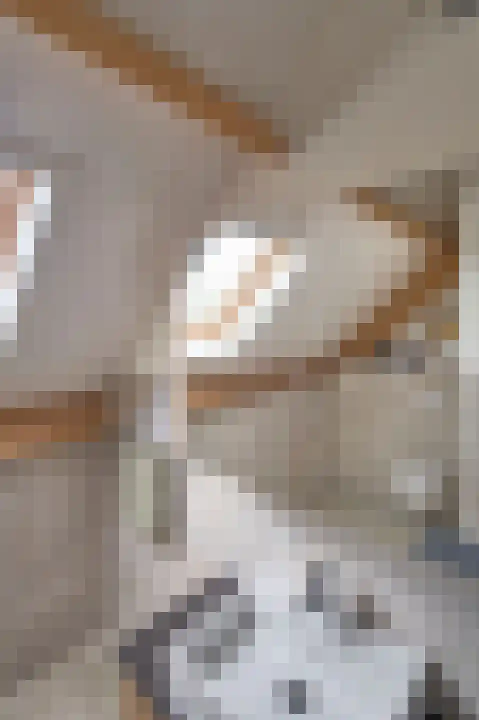 Lekerstraat 25 a Beek en Donk thumbnail 23