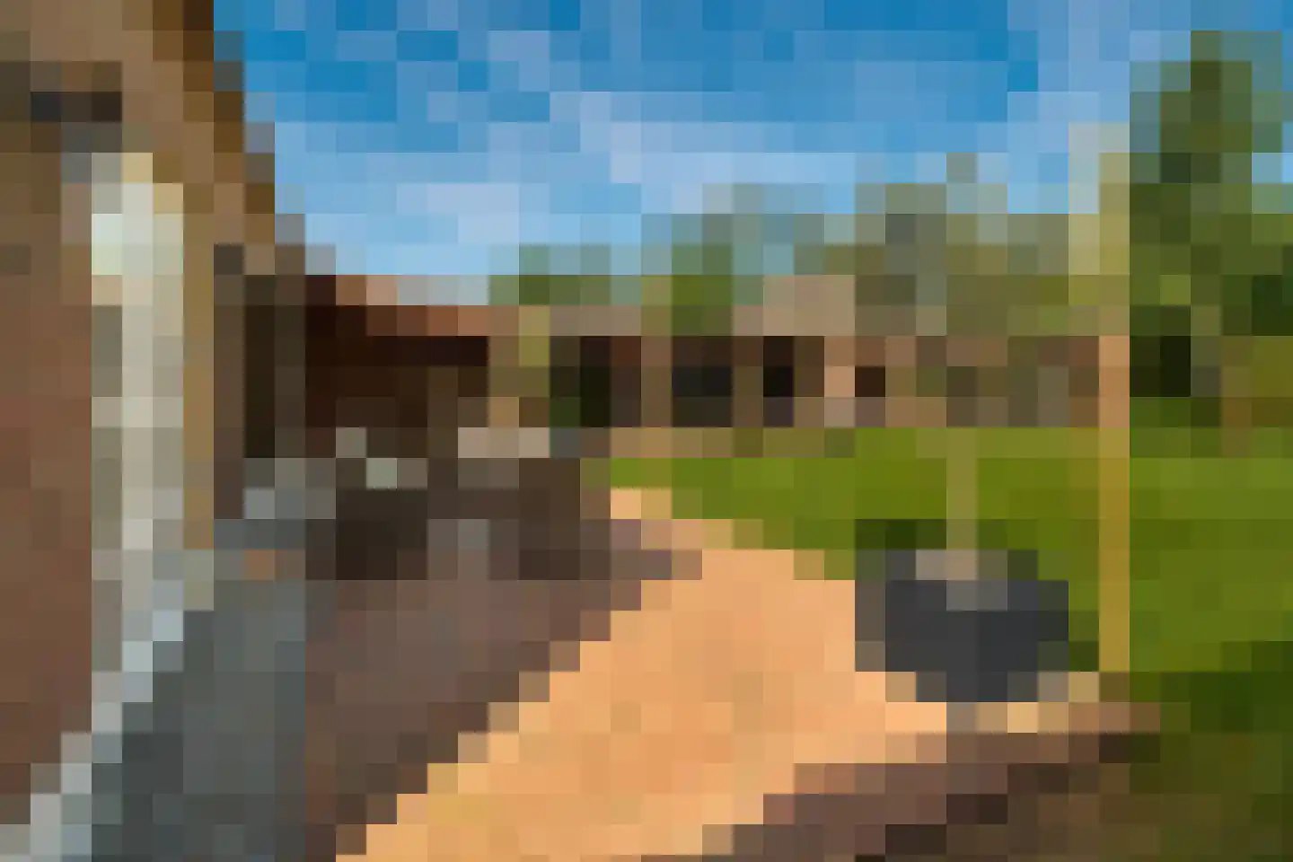 Lekerstraat 25 a Beek en Donk thumbnail 24