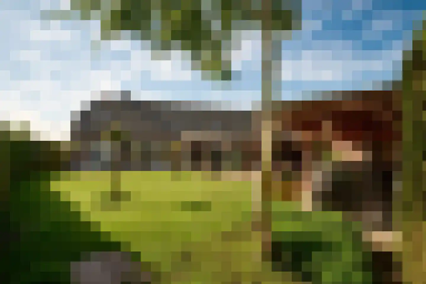 Lekerstraat 25 a Beek en Donk thumbnail 25