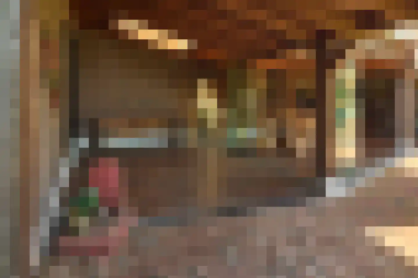 Lekerstraat 25 a Beek en Donk thumbnail 26